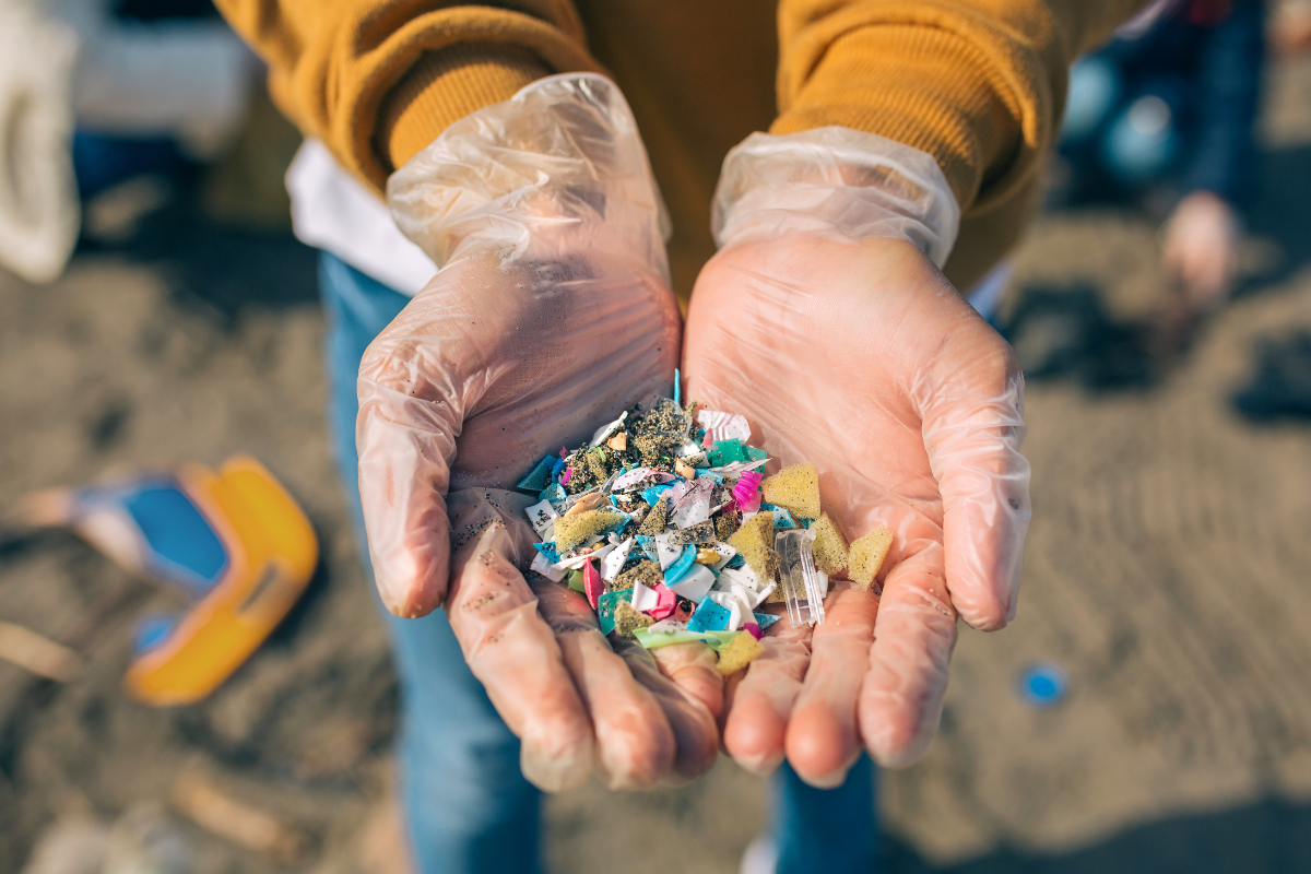 Microplastics in Toilet Paper and the Threat to Our Oceans