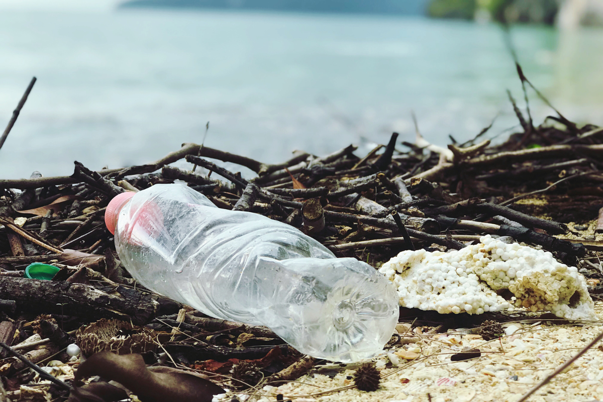 Pollution From Plastic is Contaminating More Than the Environment: How It Affects Your Body
