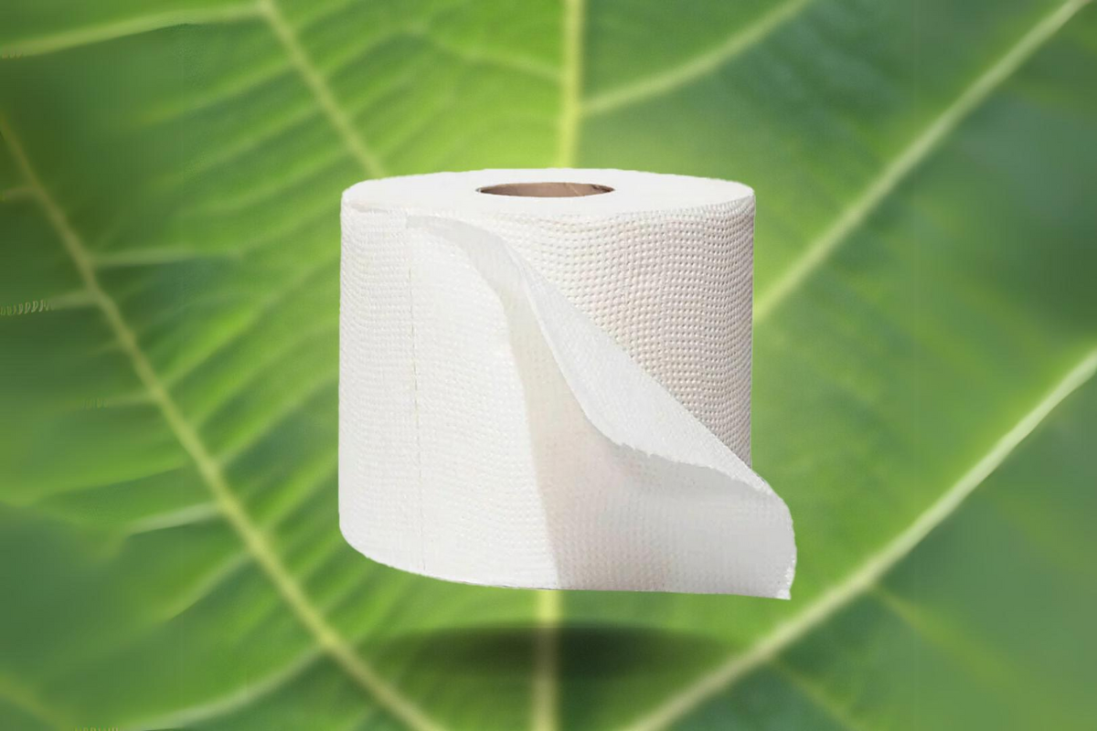 Love Soft Toilet Paper? Think Again...